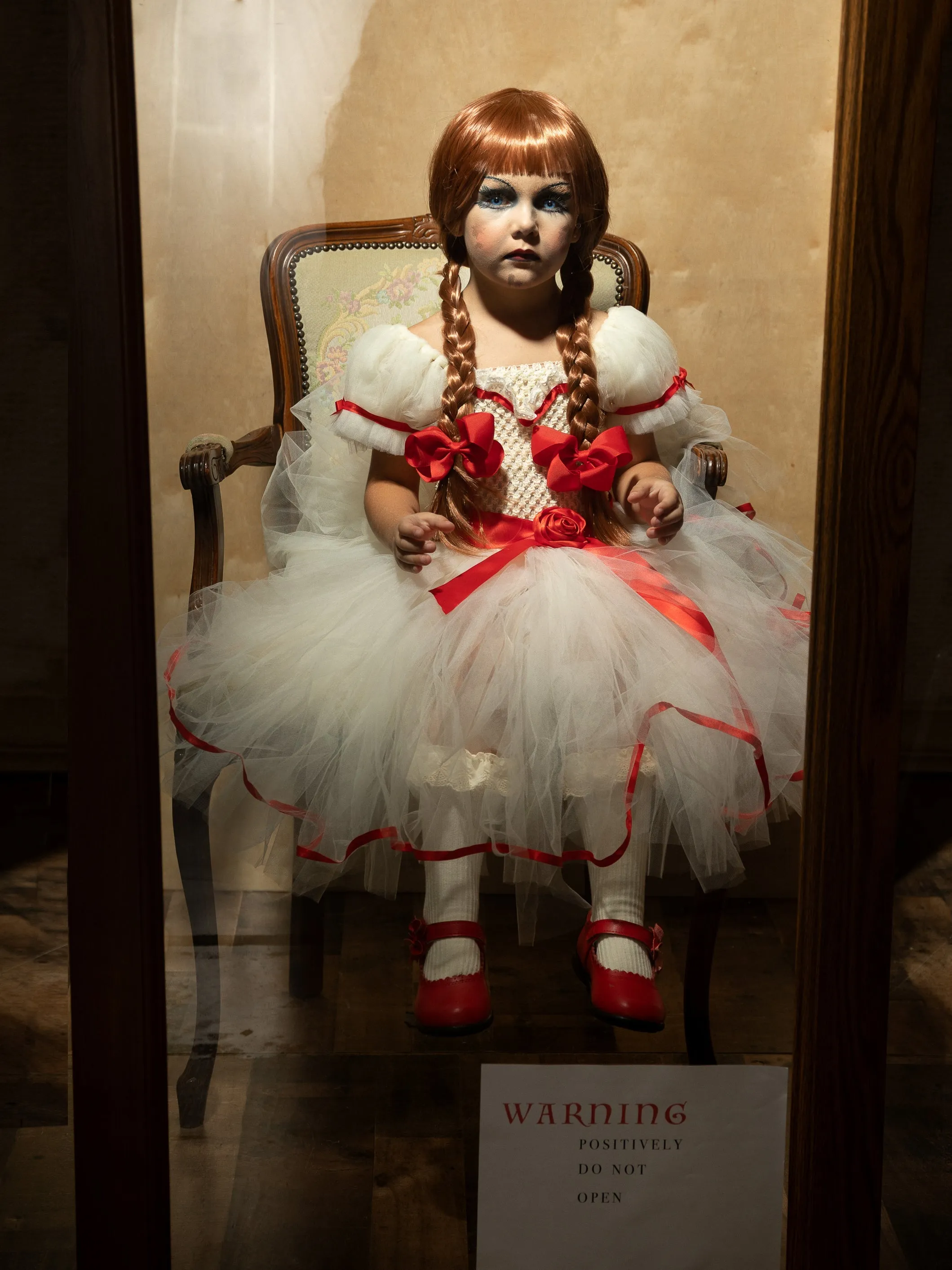 Girls Haunted Doll Inspired Tutu Costume Dress
