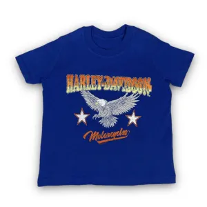Harley-Davidson Boy's Grunge Eagle - T-Shirt