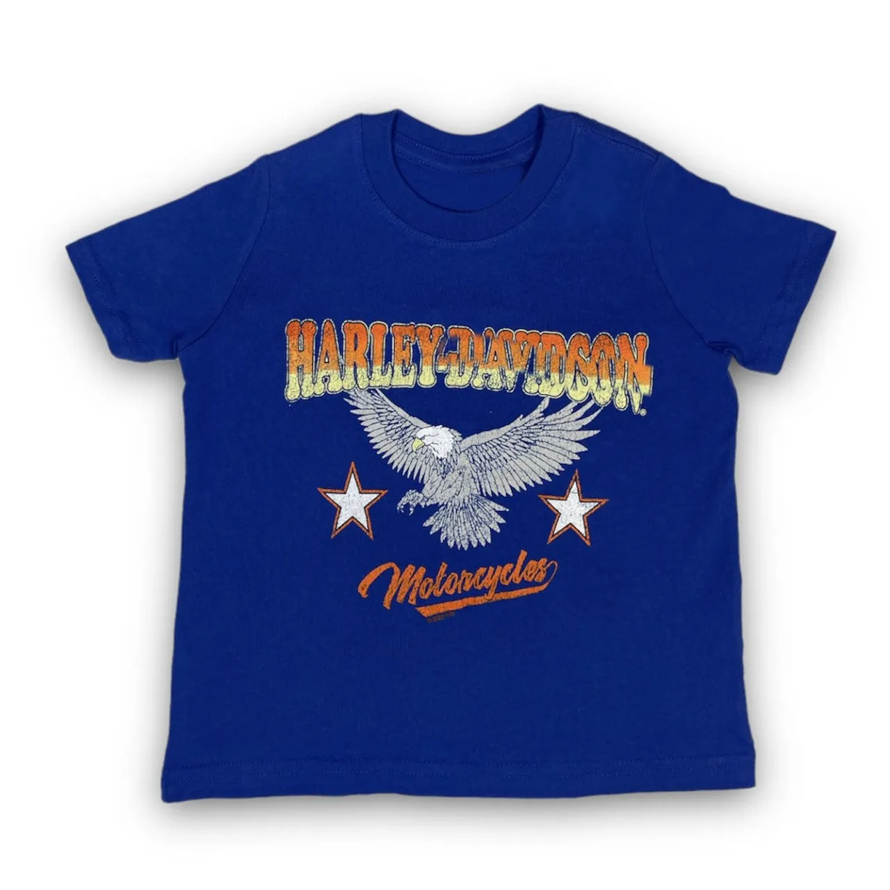 Harley-Davidson Boy's Grunge Eagle - T-Shirt