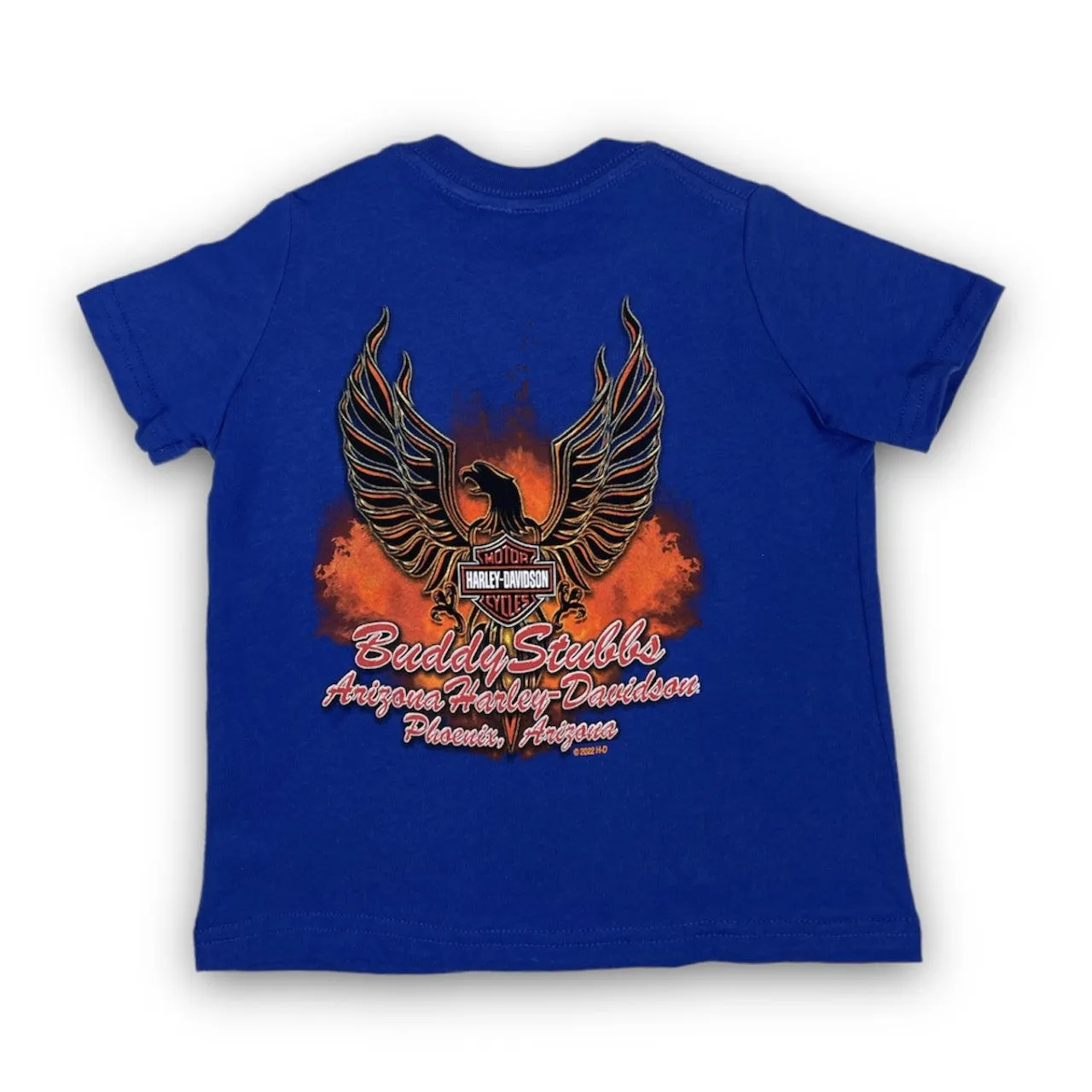 Harley-Davidson Boy's Grunge Eagle - T-Shirt