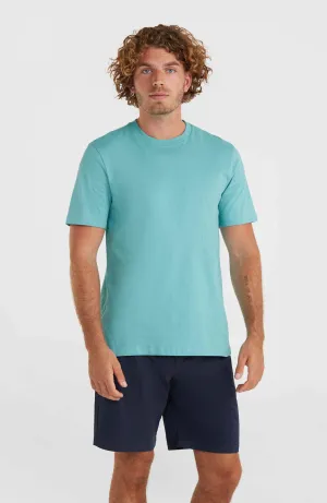 O'Neill Small Logo T-Shirt | Ripling Shores