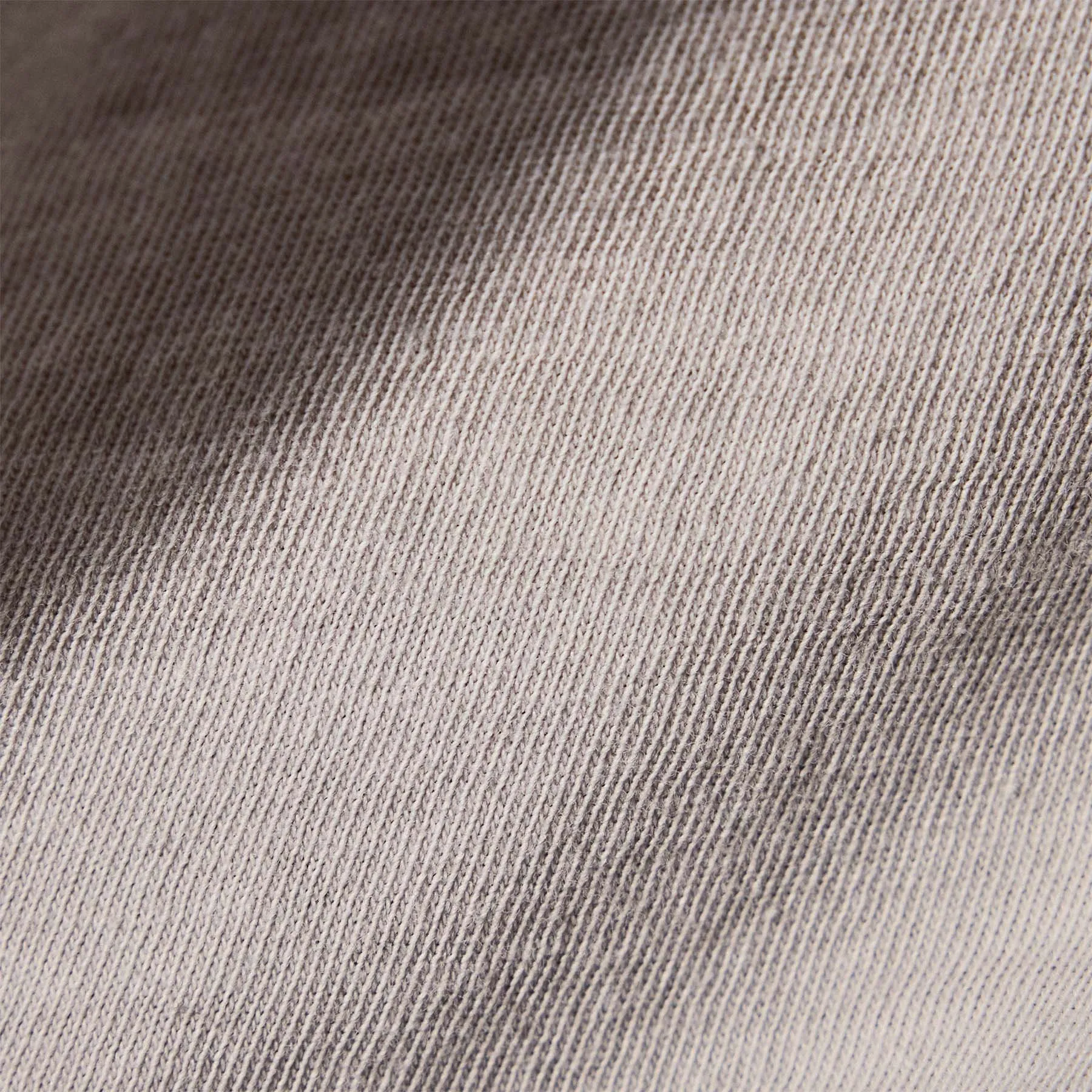 Shrunken Crew Neck Tee - Salt Pigment