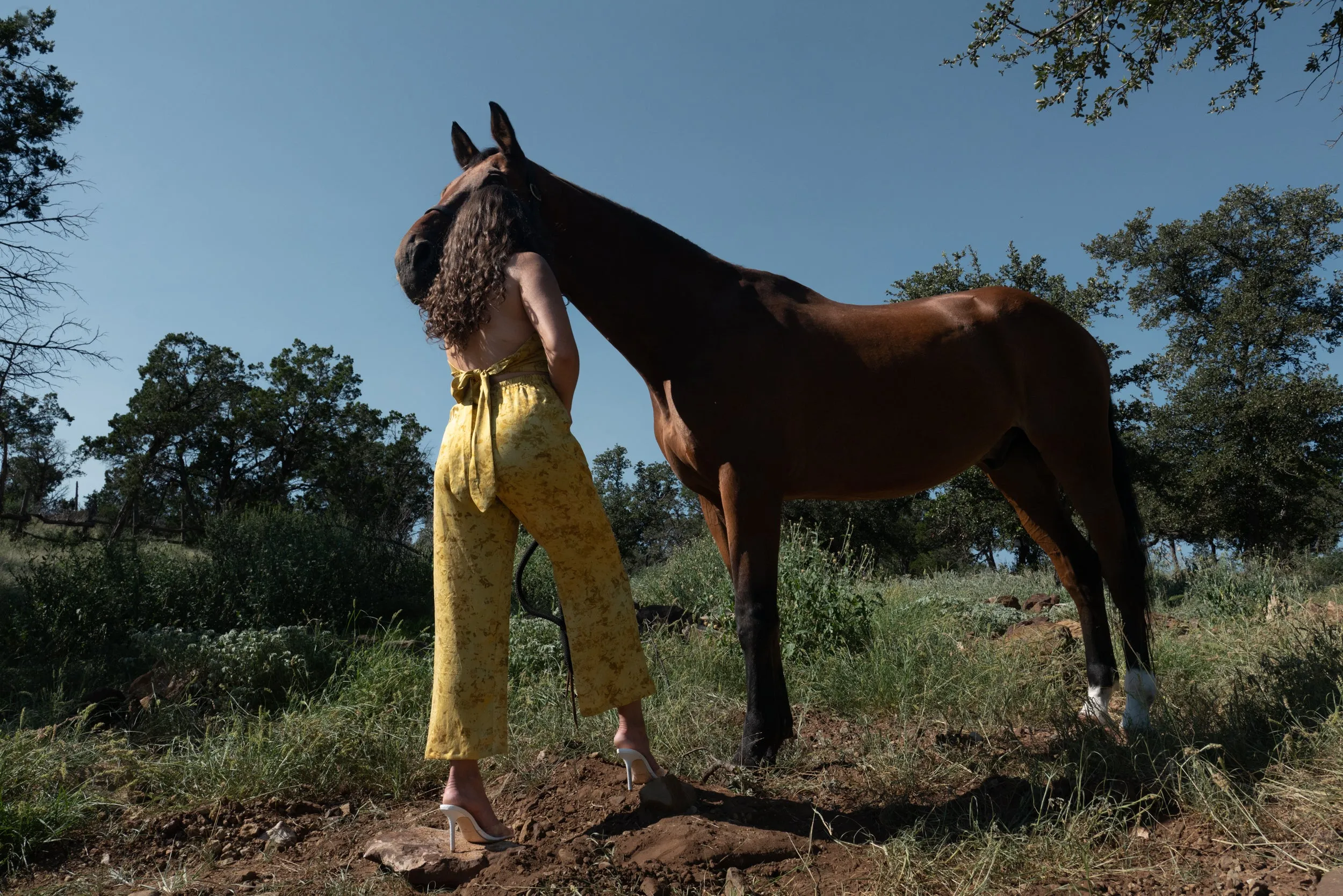 The Pant: Chartreuse