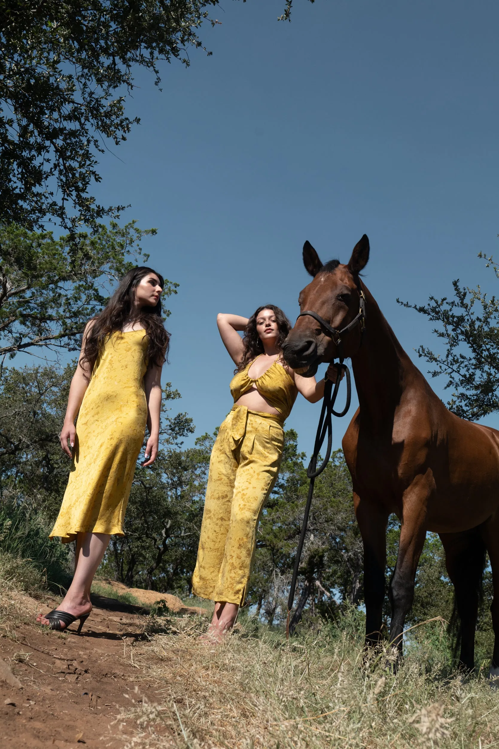 The Pant: Chartreuse